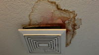 Attic Rain
