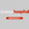 Animal Hospital Of Cambridge