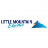 Little Mountain Electric