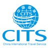 Cits V Service