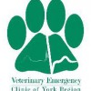 Veterinary Emergency Clinic