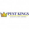 Pest Kings Wildlife & Pest Control Newmarket