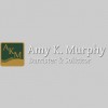 Amy K Murphy Professional