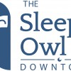 The Sleepy Owl