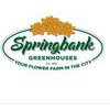 Springbank Greenhouses & Nursery