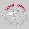 Leslie Davis Animal Hospital