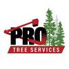 Pro Tree Services