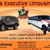 Executive Limousine