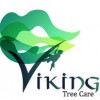 Viking Tree Care