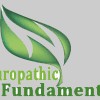 Naturopathic Fundamentals