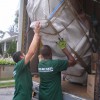 Green City Movers