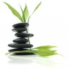 Gleeson Chiropractic-Holistic