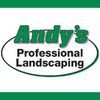 Andy's Landscape