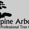 Alpine Arborist