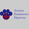 Animal Emergency Hospital