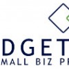 Padgett Business Services