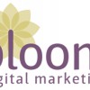 Bloom Digital Marketing