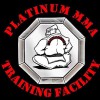 Platinum Martial Arts