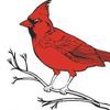 Cardinal Homes