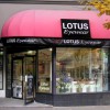 Lotus Eyewear