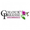 Colour Paradise Greenhouse