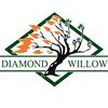 Diamond Willow