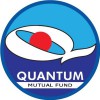 Quantum Tax