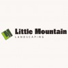 Little Mountain Landscaping