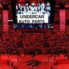 Undercar Auto Parts