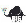 Big Digital