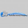 Yorkville Animal Hospital