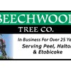 Beechwood Tree