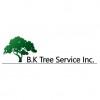 BK Tree Service