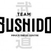 Team Bushido MMA Fitness Centre