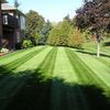 Red Bear Lawns & Landscaping