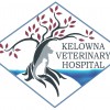 Kelowna Veterinary Hospital