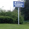 Bellevue Veterinary Hospital