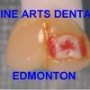 Fine Arts Dental Laboratories