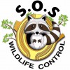 SOS Wildlife Control