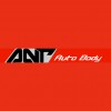 A N Tauto Body