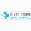 River Grove Animal Hospital