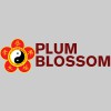 Plum Blossom Martial Arts