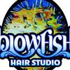 Blowfish Hair Studio