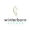 Winterborn Alpaca Canada