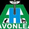 Avonlea Animal Hospital