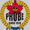 Probe Investigation & Security