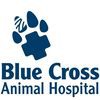 Blue Cross Animal Hospital