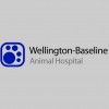 Wellington-Baseline Animal Hospital