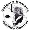 Calgary Humane Wildlife Control