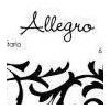 Allegro